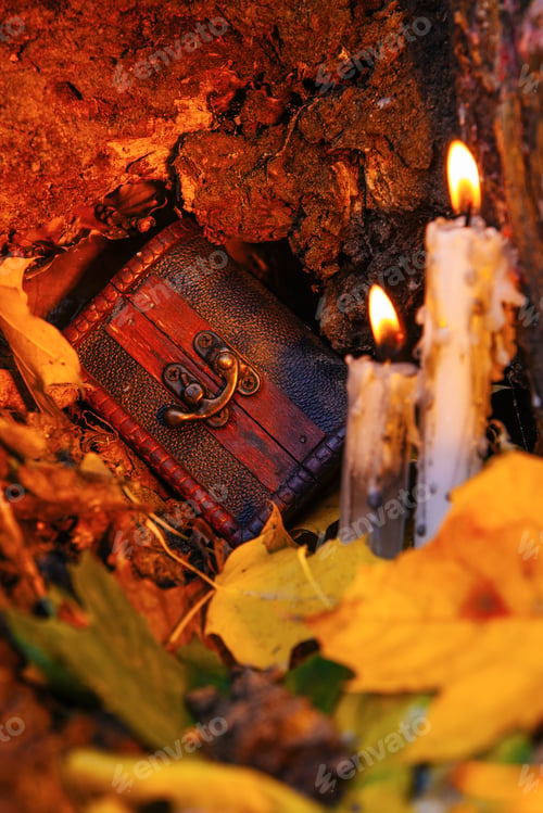 Preview: Beautiful Natural Decor For Autumnal Holiday, Old Dry Maple Leaves, Warm Candle Light