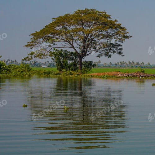 Preview: Kerala Backwaters View, India