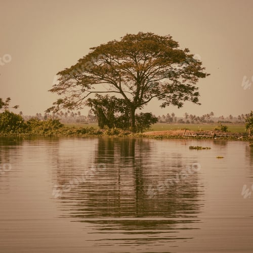 Preview: Beautiful Backwater Travel Destinations Of Kerala, India.