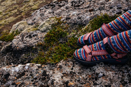 Preview: Legs In Socks With Beautiful Ornament , On The Iceland Nature And Moss