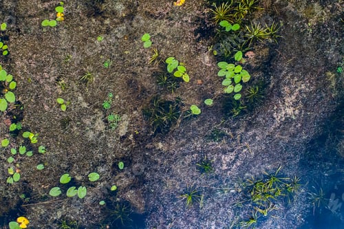Preview: Top View Of River Near Kiev, Ukraine, - Taken With Drone
