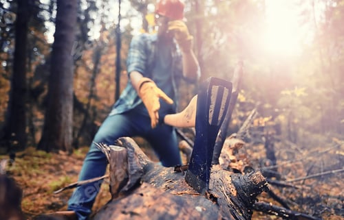 Preview: Male Worker With Ax Chopping A Tree In The Forest.
