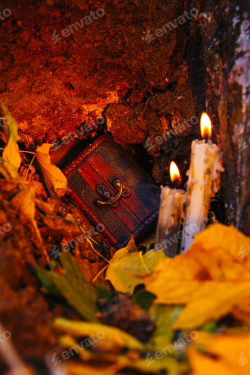 Preview: Beautiful Natural Decor For Autumnal Holiday, Old Dry Maple Leaves, Warm Candle Light