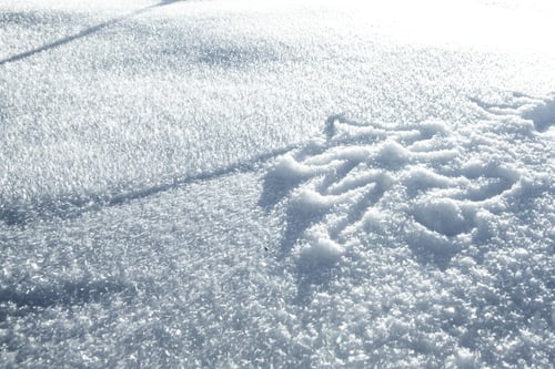 Preview: Hand Christmas Tree Drawing On Snow