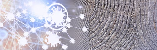 Preview: Wood Texture Background. The Contrasting Texture Of The Boards. Wooden Structure Macro Shot.