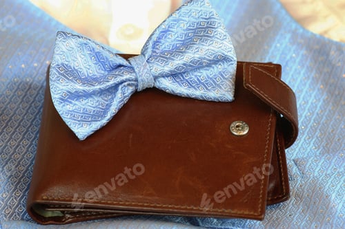 Preview: Butterfly To The Costume And Accessories