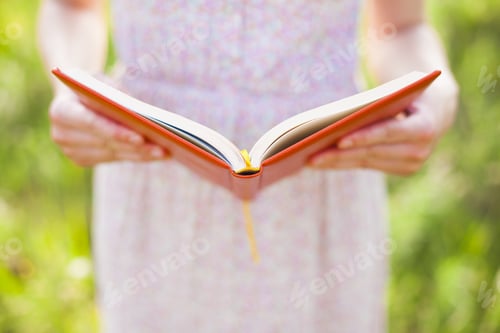 Preview: Girl In Summer Dress Holding A Book Standing On The Sunny Meadow. Soft Focus.