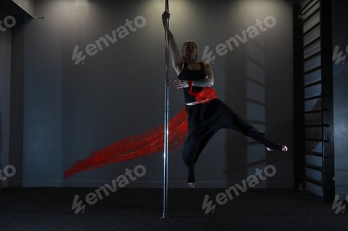 Preview: Girl Doing Exercises On A Sports Equipment. The Dancer On The Pylon In The Studio.