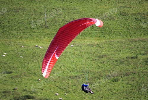 Preview: Paraglider