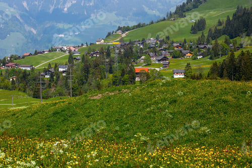 Preview: Idyllic Switzerland Alpine Meadows