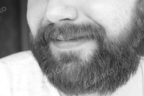 Preview: Portrait Of A Bearded Man Smile Leisure Talking On The Phone