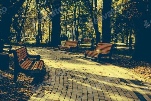 Preview: Bench In The Autumn Park