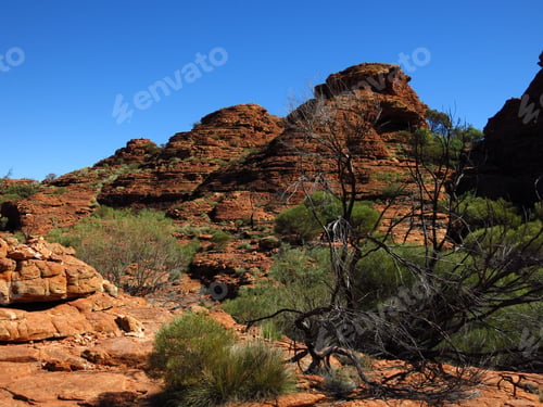 Preview: Kings Canyon, Northern Territory, Australia