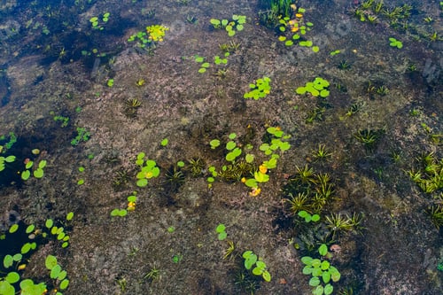 Preview: Top View Of River Near Kiev, Ukraine, - Taken With Drone