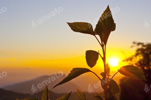 Preview: The Majestic Himalayas At The Sunrise Time, Nepal