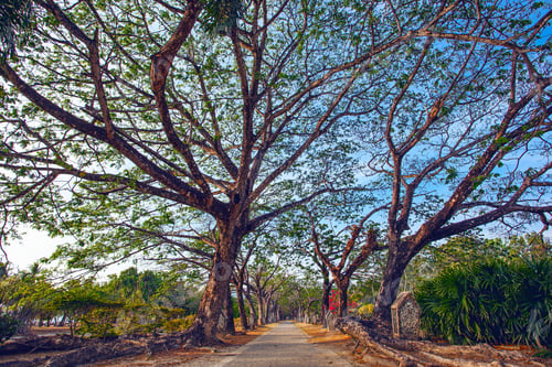 Preview: Beautiful Park Legenda In Kuah, Langkawi Island , Malaysia