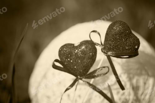 Preview: Two Hearts Love Concept