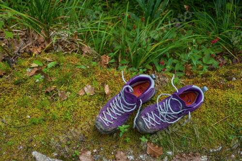 Preview: Violet Trekking Shoes On The Nature. Nepal