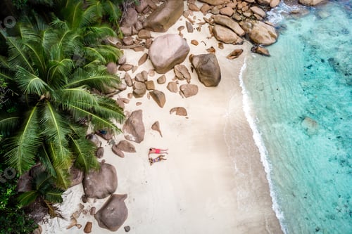 Preview: Relaxing on a pristine beach in Baie Sainte Anne, Seychelles, surrounded by nature's beauty