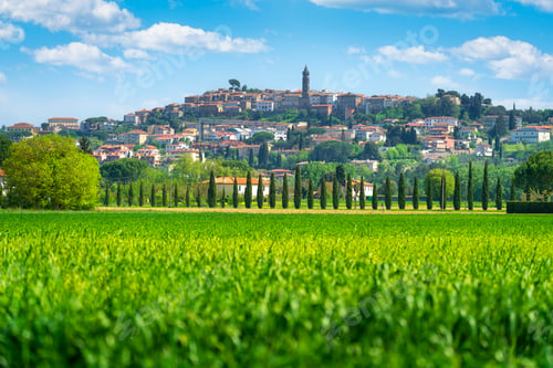 Preview: Peccioli Hill Town and Green Wheat Field in Spring, Tuscany