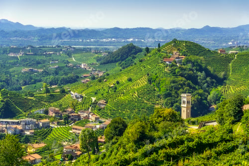 Preview: Prosecco Hills Vineyards and Santo Stefano Bell Tower