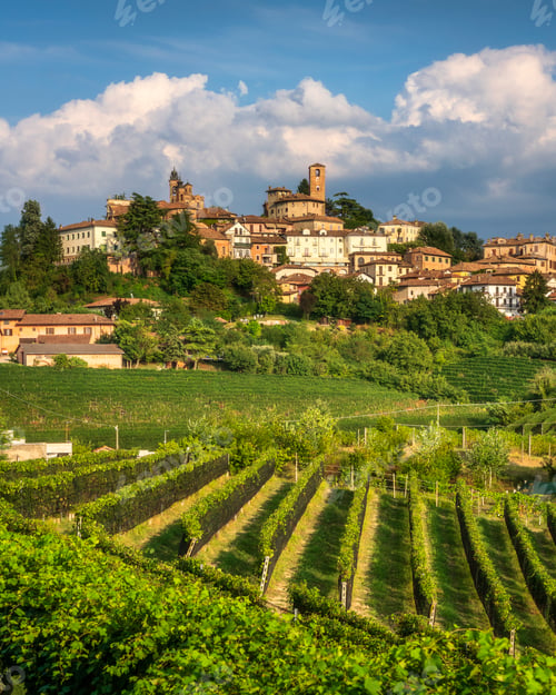 Preview: Neive Village and Vineyards View in Langhe, Piedmont