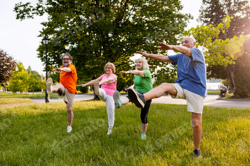 Preview: Seniors exercising outdoors in park, celebrating active lifestyle