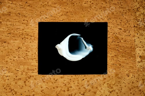 Preview: White cosmetic serum smear on black background