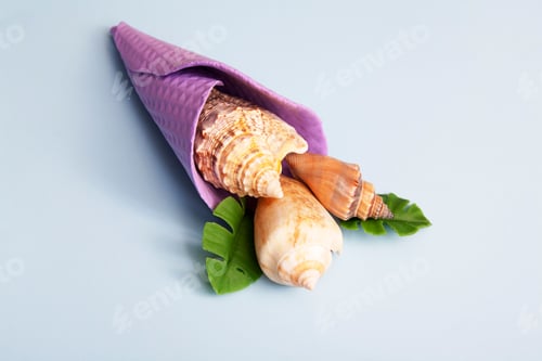 Preview: Seashells in an ice cream cone. The concept of summer, vacation, sea