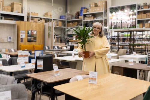 Preview: Senior woman shopping for a potted plant in a furniture and home goods store
