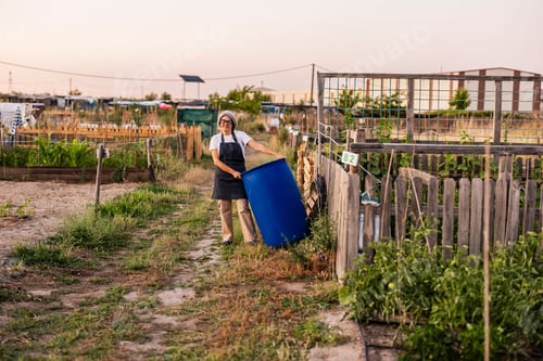 Preview: Woman carrying water barrel for sustainable urban gardening