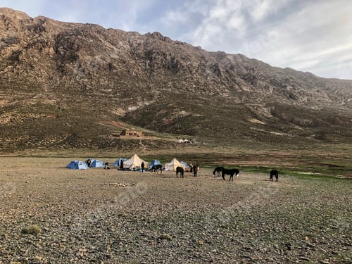 Preview: Group camping outdoors with horses enjoying mountain landscape