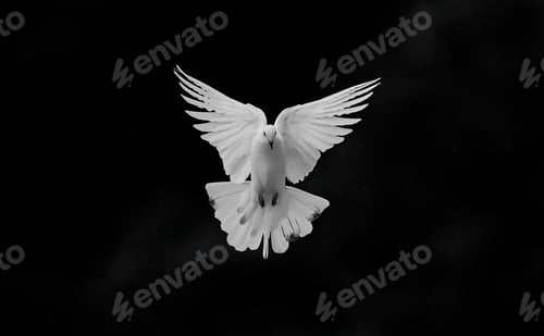 Preview: Peace signal of bird