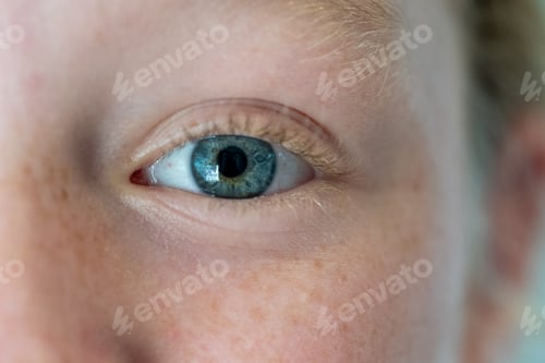 Preview: Close-up macro view light-colored human eye