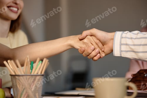 Preview: Adult Businesswomen Shaking Hands during Office Meeting