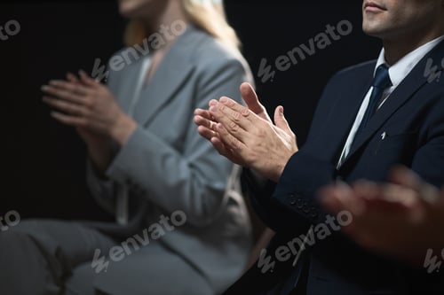 Preview: Business Audience Clapping during Professional Recognition Event