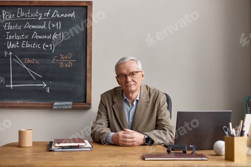 Preview: Portrait of Senior Man Teaching Economics for Education Marketing