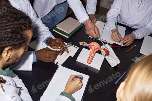 Preview: Diverse Medical Students Studying Female Reproductive Anatomy