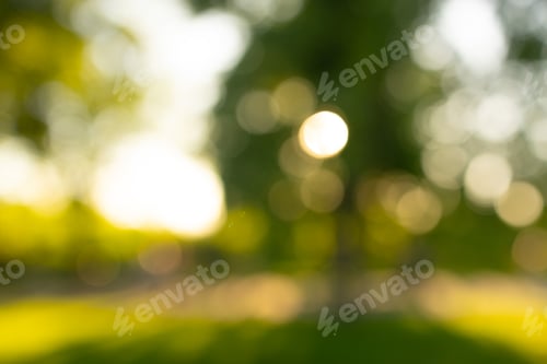 Preview: Green nature background with bokeh effect