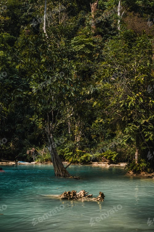 Preview: Turquoise river surrounded by tropical rainforest in Laos