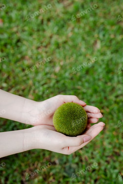 Preview: Hands gently cradling a small green globe, symbolizing ecology, sustainability and stewardship of th