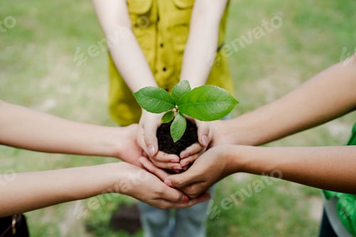 Preview: Hands of diverse children protecting a small green seedling with rich soil, symbolizing environmenta
