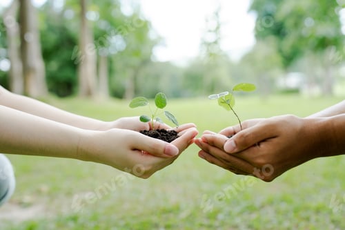Preview: Hands holding young green plants and rich soil, symbolizing teamwork, sustainable growth, life, envi