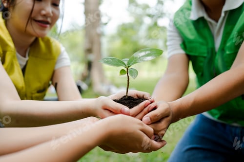 Preview: Group of volunteers holding a young sapling, symbolizing growth, environmental protection, sustainab