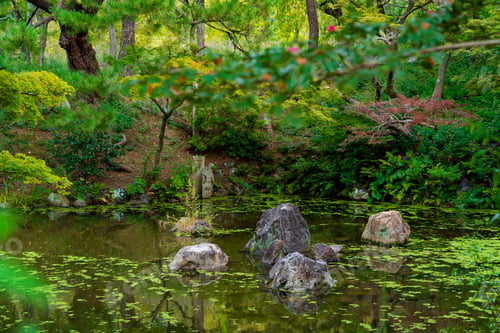Preview: Serene Zen Garden Pond with Mossy Rocks and Lush Foliage