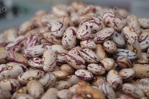 Preview: Cranberry Beans Are Stacked in a Large Pile at a Market