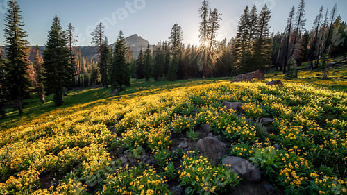 Preview: Natural Landscape Background for Travel and Tourism