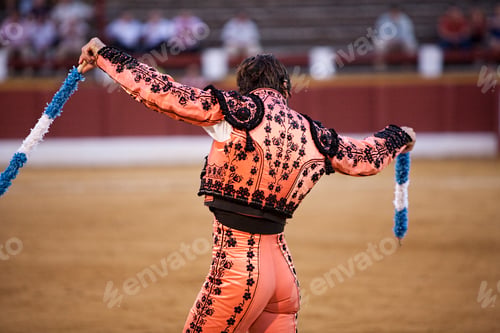 Preview: Detail of the "traje de luces" or bullfighter dress, Spain