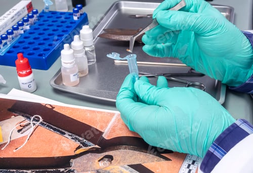 Preview: Police expert extracts traces of blood in a swab for analysis in the laboratory scientist