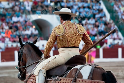 Preview: Picador bullfighter, Spain